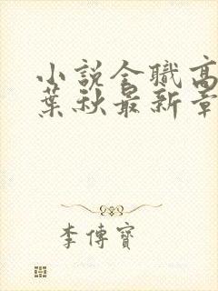 小说全职高手·叶秋最新章节在线