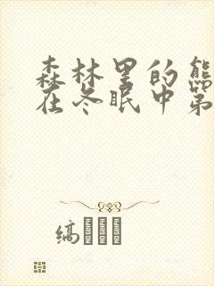 森林里的熊先生在冬眠中第一集