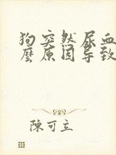 狗突然尿血是什么原因导致的