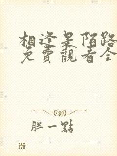 相逢是陌路短剧免费观看全集