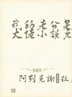 我的老公是千亿大佬小说免费阅读