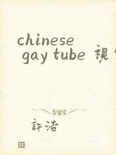 chinese gay tube 视频