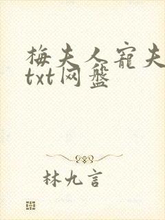 梅夫人宠夫日常txt网盘封面