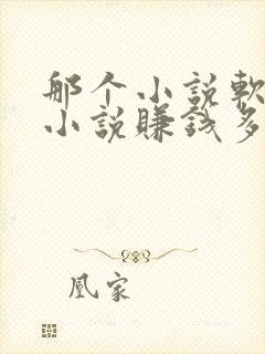 那个小说软件写小说赚钱多