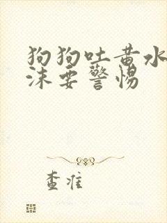 狗狗吐黄水带泡沫要警惕