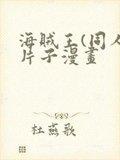 海贼王(同人)片子漫画