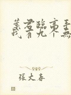 叶君临高手下山我有九个无敌师父