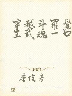 穿越斗罗觉醒十生武魂一口气看完