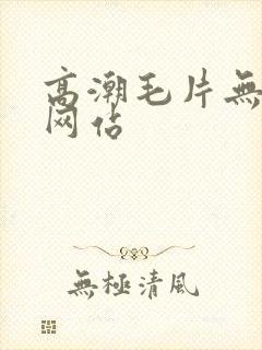 高潮毛片无遮挡网站