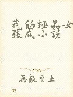 我的极品女老师张成小说封面