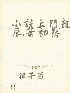 小说上门龙婿叶辰,萧初然