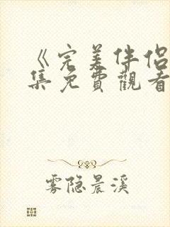 《完美伴侣》全集免费观看