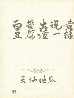 白带出现黄绿色豆腐渣一样封面