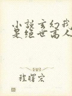 小说玄幻我真不是绝世高人