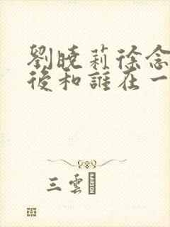 刘晓莉徐念沙最后和谁在一起了封面