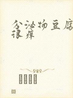 分泌物豆腐渣样很痒