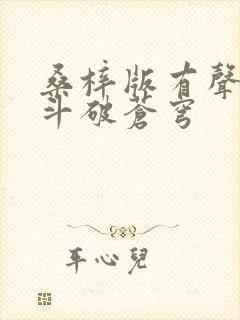 桑梓版有声小说斗破苍穹