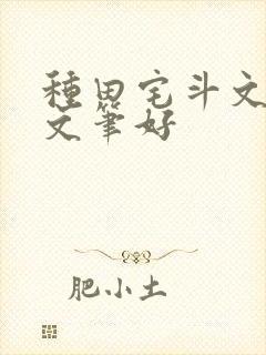 种田宅斗文推荐文笔好