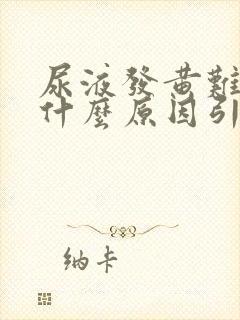 尿液发黄难闻是什么原因引起的女性