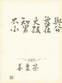 不知火舞与三个小男孩在公园封面