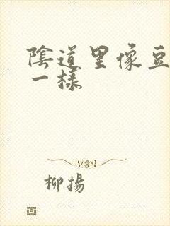 阴道里像豆腐渣一样