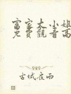 富家大小姐电影免费观看高清封面