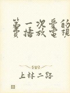 第一次爱的人免费播放电视剧韩剧