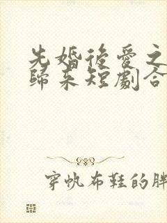 先婚后爱之亡夫归来短剧合集封面