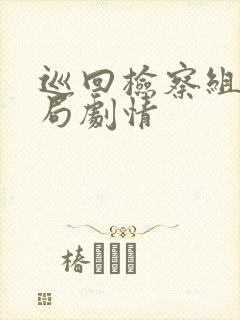 巡回检察组大结局剧情封面