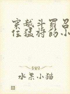 穿越斗罗召唤百位猛将的小说