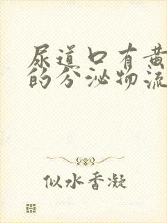 尿道口有黄白色的分泌物流出,怎么回事啊