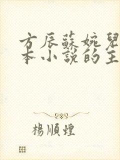 方辰苏婉儿是哪本小说的主角啊免费阅读