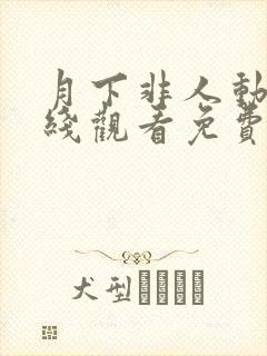 月下非人动漫在线观看免费高清封面