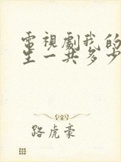 电视剧我的后半生一共多少集