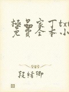 极品家丁txt免费全本小说