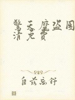 惊天魔盗团2高清免费