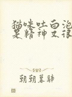 猫咪吐白泡沫但是精神又很好