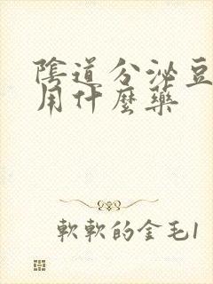 阴道分泌豆腐渣用什么药