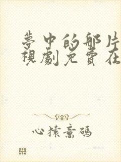 梦中的那片海电视剧免费在线观看