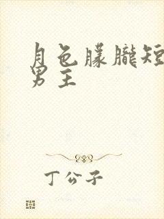 月色朦胧短剧双男主