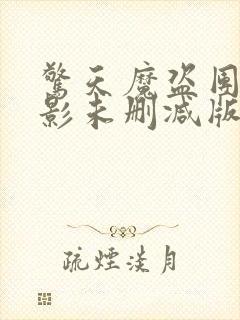 惊天魔盗团3电影未删减版