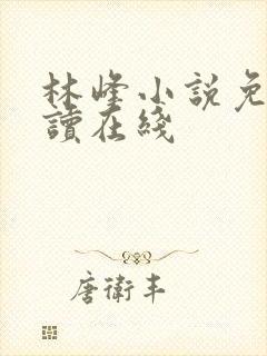林峰小说免费阅读在线