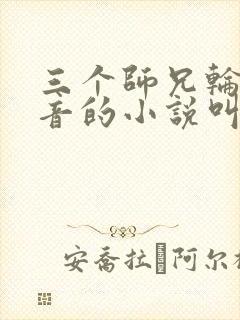 三个师兄轮流上音的小说叫什么封面