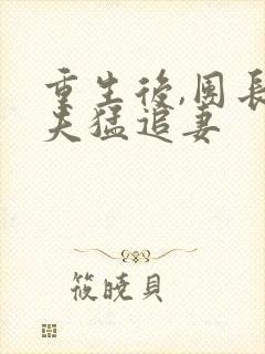 重生后,团长前夫猛追妻