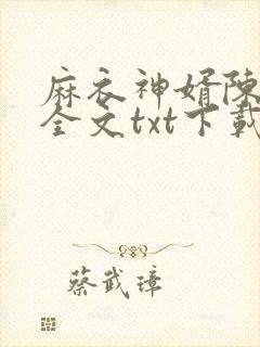 麻衣神婿陈黄皮全文txt下载