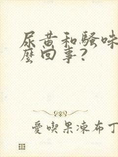 尿黄和骚味重怎么回事?