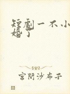 短剧一不小心闪婚了