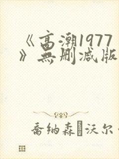 《高潮1977》无删减版