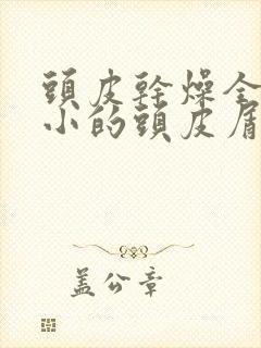 头皮干燥全是细小的头皮屑