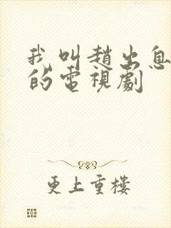 我叫赵出息类似的电视剧